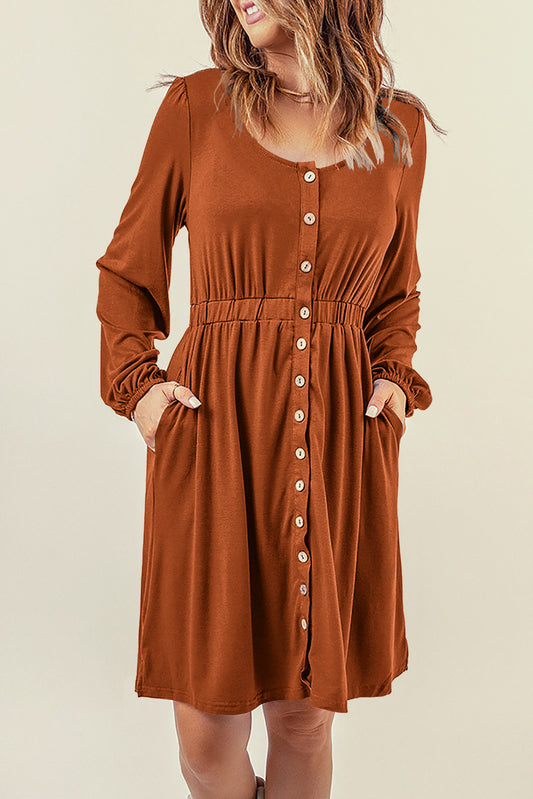 Brown Button Up Casual High Waist Long Sleeve Dress